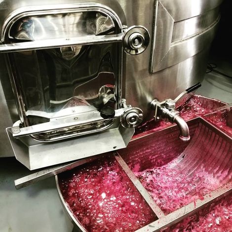 Château Sénéjac_Wine_Process1