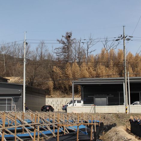 Ginseng Factory