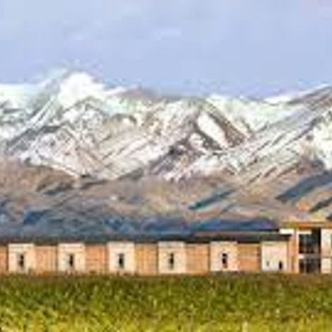 DOMAINE BOUSQUET VINEYARD 1.jpg