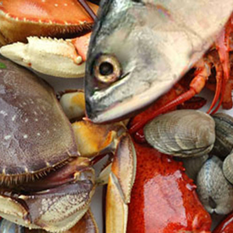 Houston Seafood - Products