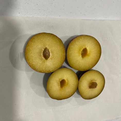 Plum - Angeleno - Flesh