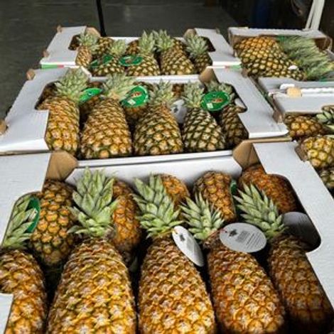 Pineapple