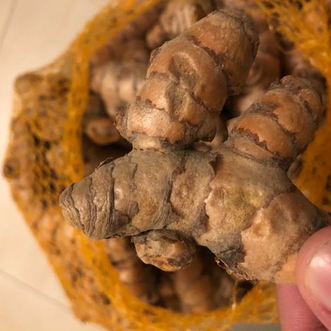 HAC Agri_Turmeric_Sample