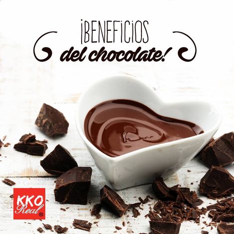 Processor Cacao Real, C.A.