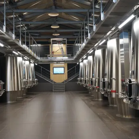 Château Balestard la Tonnelle - Cave