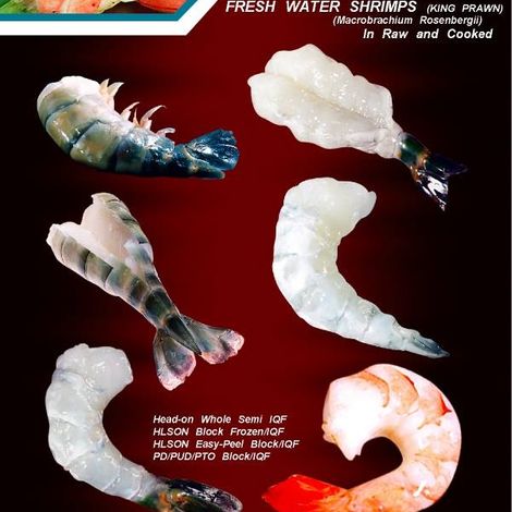 COASTAL SEA FOODS (BD.) LTD.