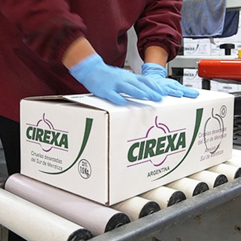 Cirexa S.A.