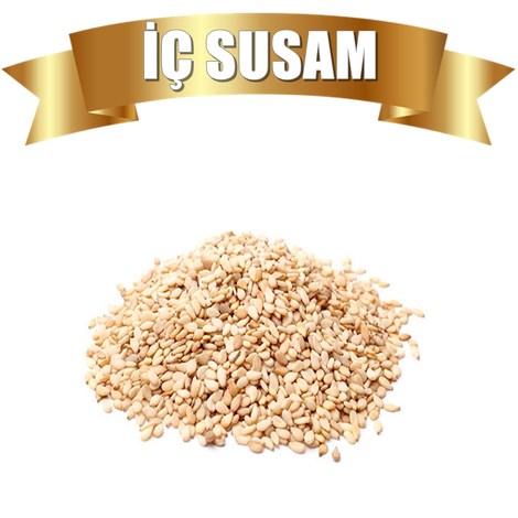 icsusam-27.png