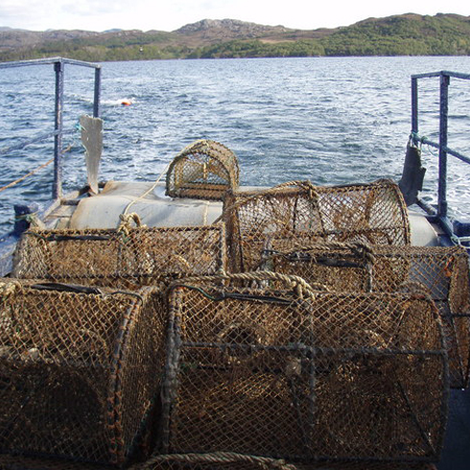 SCOT WEST SEAFOODS LTD