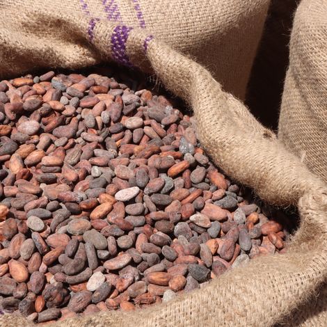 Cocoa beans from Togo