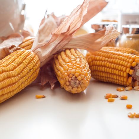 Semolina Azteca Milling