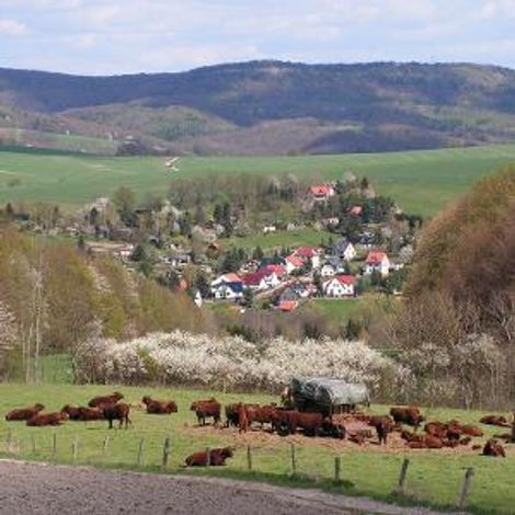 Hörseltal eG