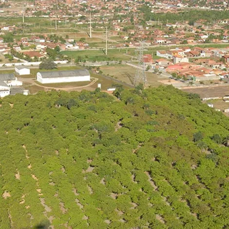 Cione - Companhia Industrial de Óleos do Nordeste
