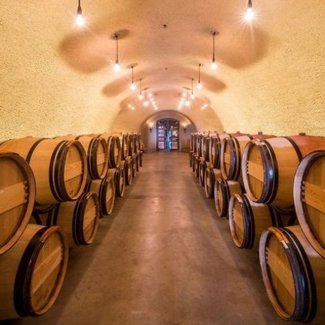 OVID Napa Valley_Wine_Storage