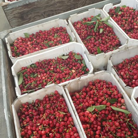 King Fresh Produce Llc - Products