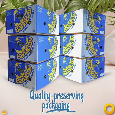 Packaging
