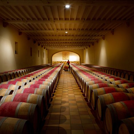 Château Phelan Segur_Wines_Cellar
