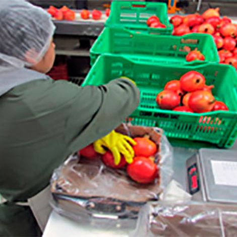 Pomica Peru SAC - Facility