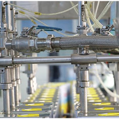 Filling Packaging and Shipping