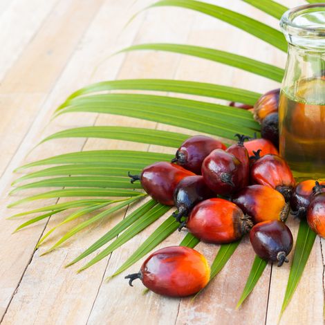 Palm Oil