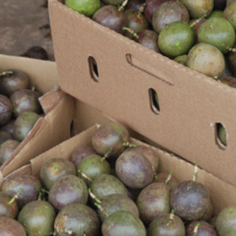 Fresh From Uganda Ltd - Products