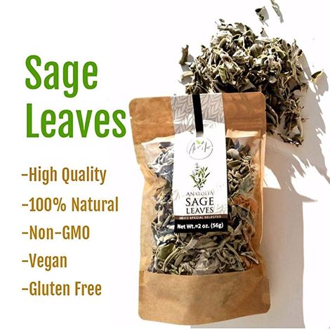 Sage Leaves Photo