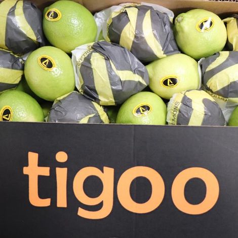 Tigoo brand.jpg