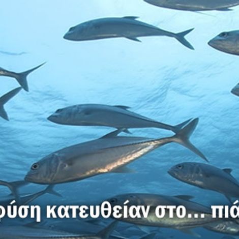 banner_1.jpg