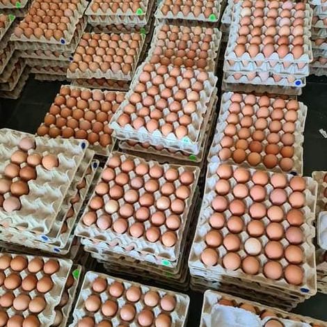 Acorn Poultry