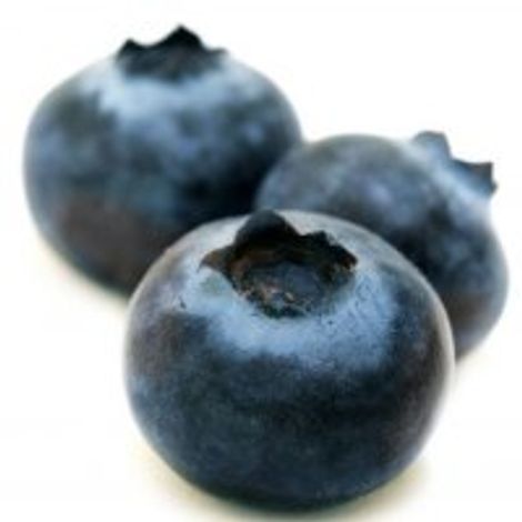 Special Fruit Producciones SL