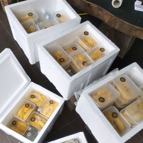 Benum Hill Fruits Sdn Bhd