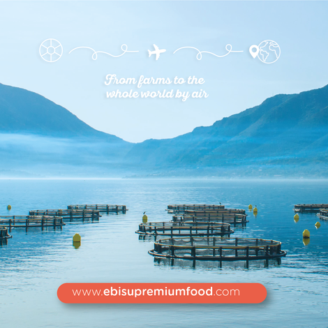 From Farms to the whole world by air & sea
