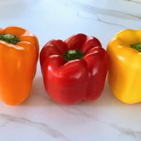Fresh Bell Peppers Regular and Organic