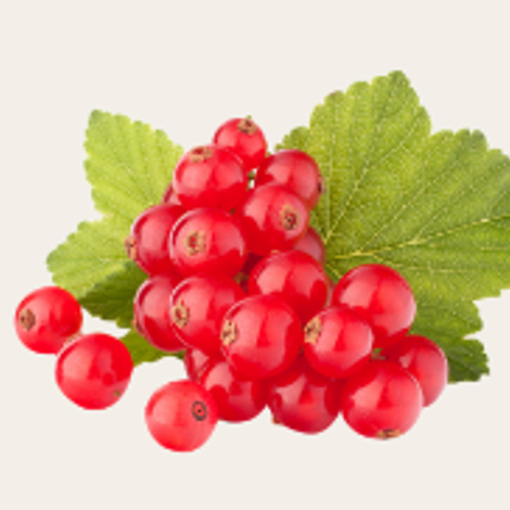 red currants