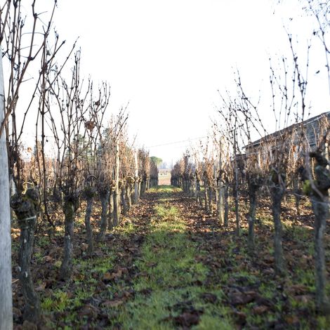 Château Bernon Bécot