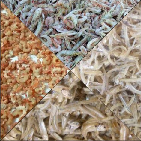 Dried Seafood