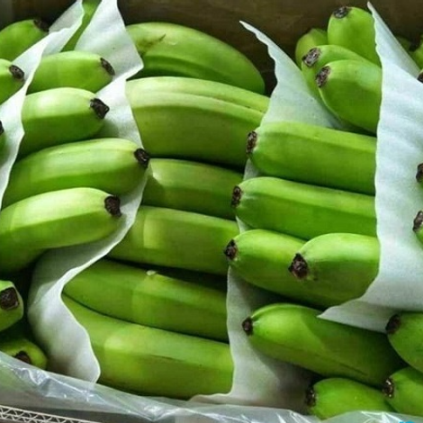 🍌 Vietnamese Cavendish Bananas – Reliable Export Supply