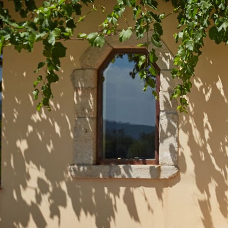 Domaine du Loou - Vin de Provence