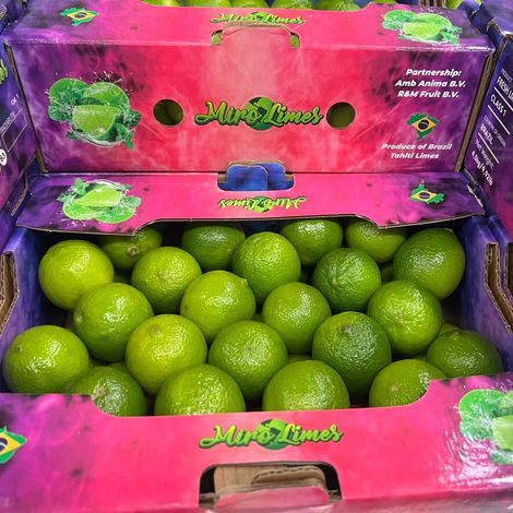 Premium Fresh Limes from Brazil — Zesty Flavor, High Quality