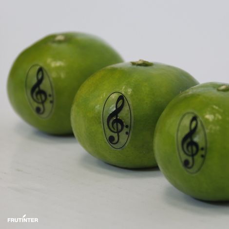 FRUTINTER, S.L.