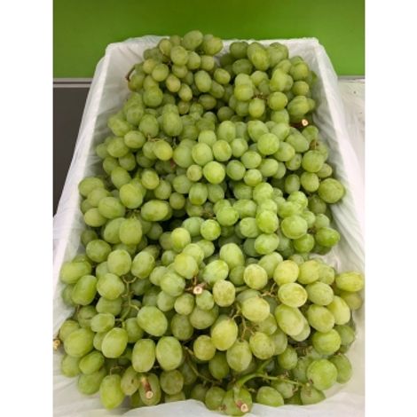 australian green grapes