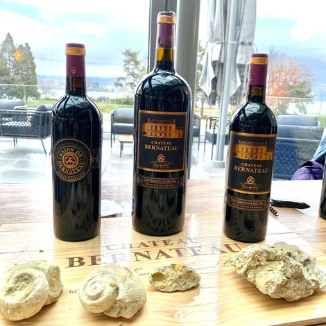 Château Bernateau - Wines