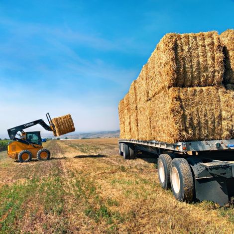 Silver Reef Organic Farms, LLC