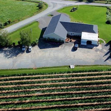 Sainte-Famille Wines Ltd_Wine_Vineyards