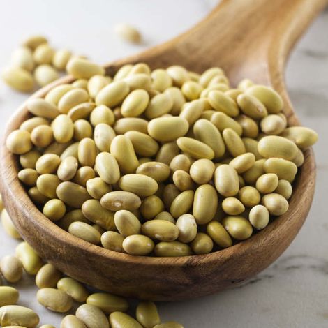 Mayacoba Beans