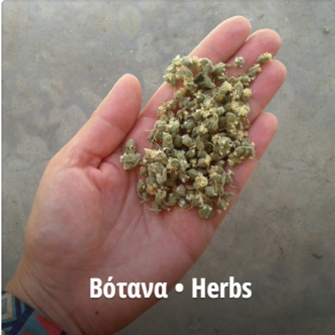 Aegean Herbs