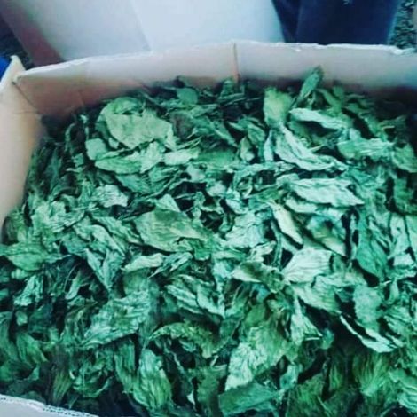 DRIED MALLOW