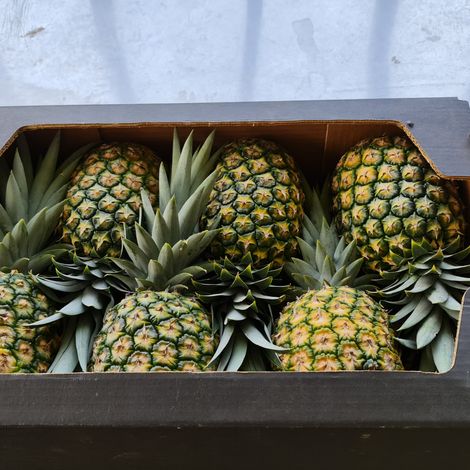 Durantas_Pineapple_Packaging