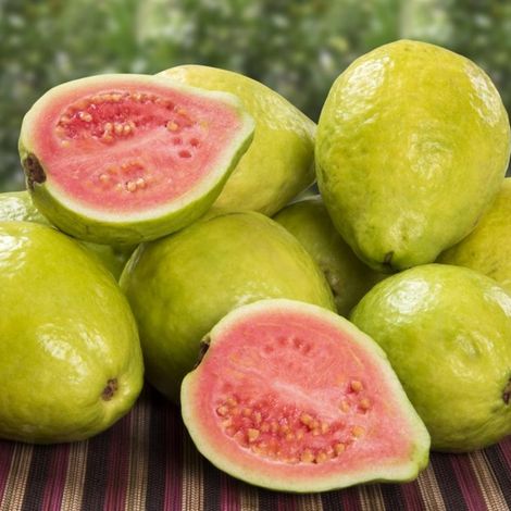 Red Guava