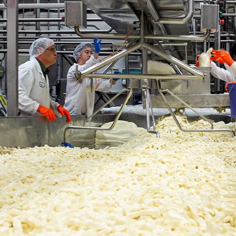 Fromagerie St-Guillaume - Production Area